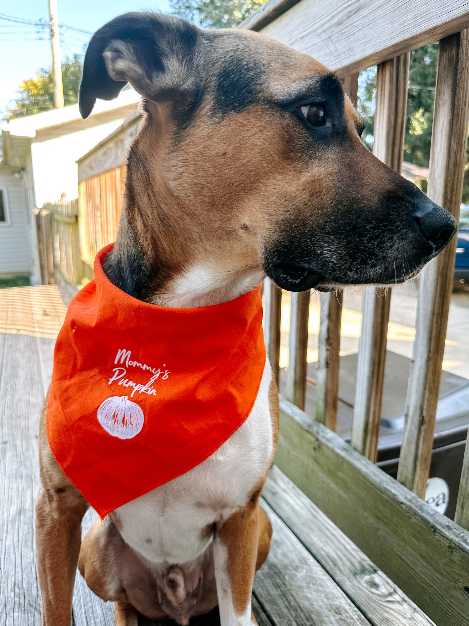 Bandanas