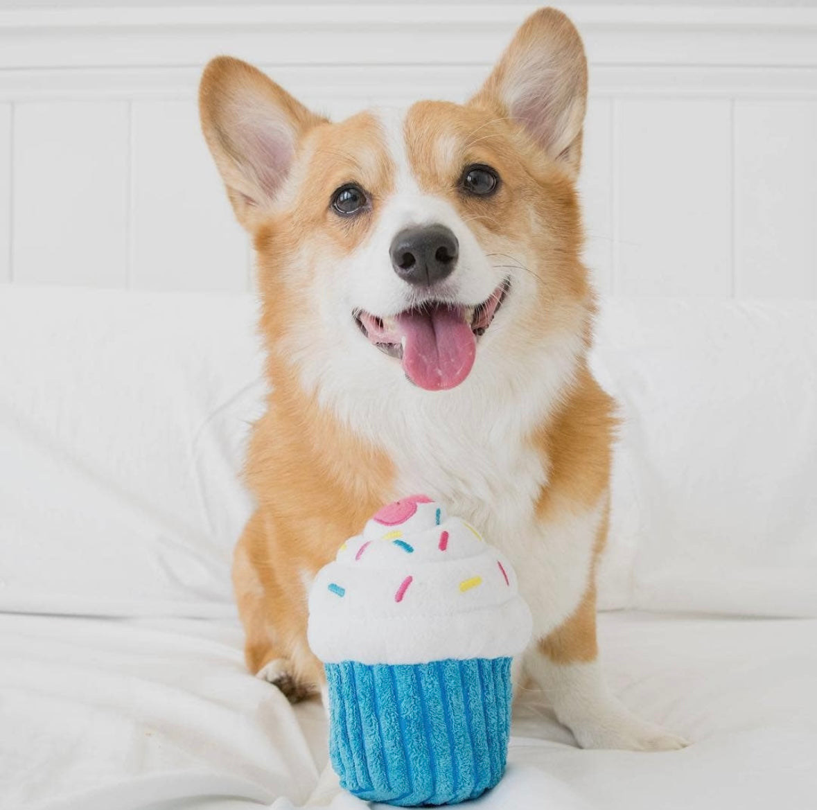 "Pupcake" Toy