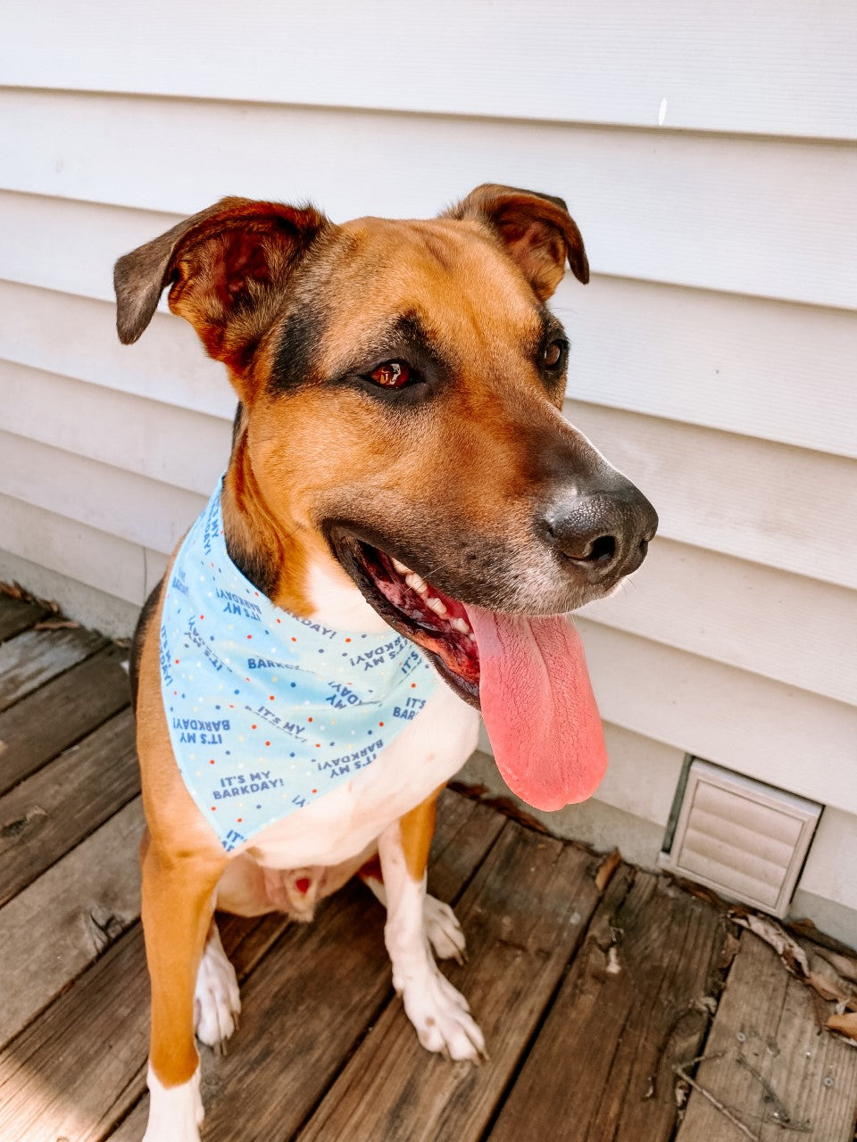 "It's My Bark Day" Reversible Bandana